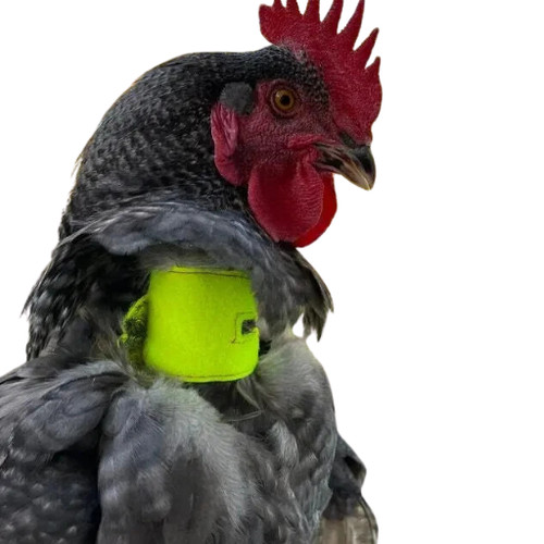 Heavy duty crow reduction - heavy,