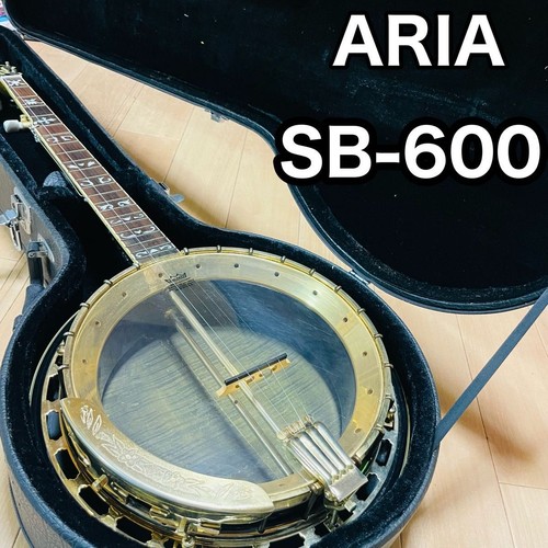 Aria 600 deluxe string - deluxe, 5-string