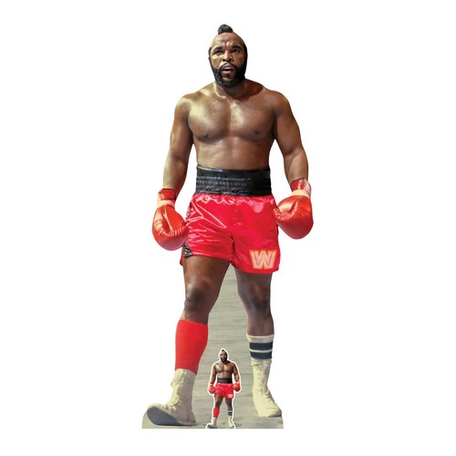 Lifesize cardboard cutout - mr, t