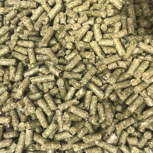 20kg chinchilla pellets - chinchilla,