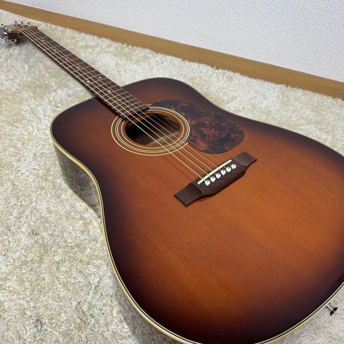 Takamine dreadnought acoustic - takamine,