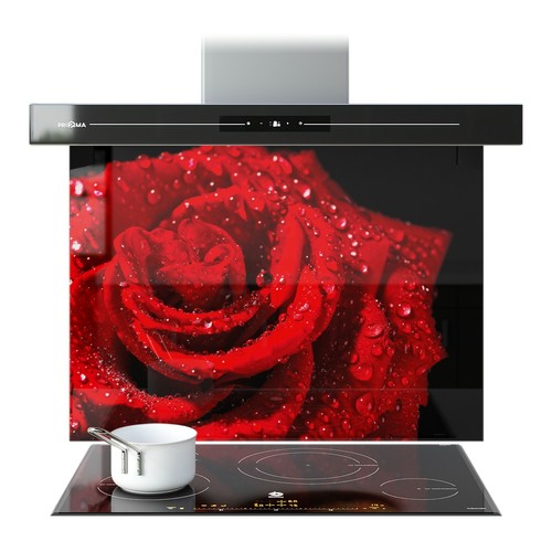 Kitchen glass splashback - kitchen,