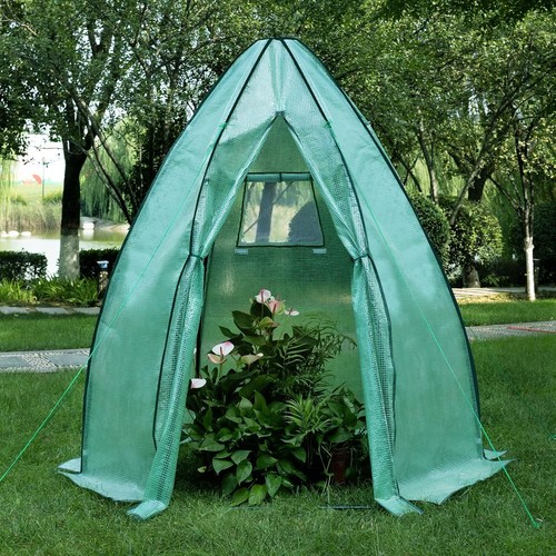 Outdoor garden tomato plant - tomato,