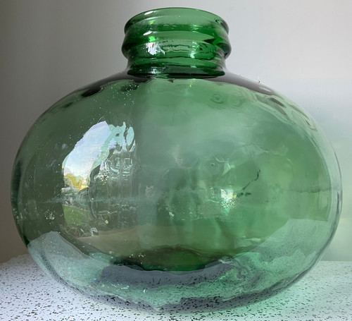Viresa glass bottle terrarium - viresa,