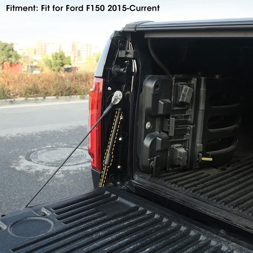Tailgate assist shock - tailgate,