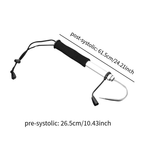 Fishing gaff hook - fishing, sturdy
