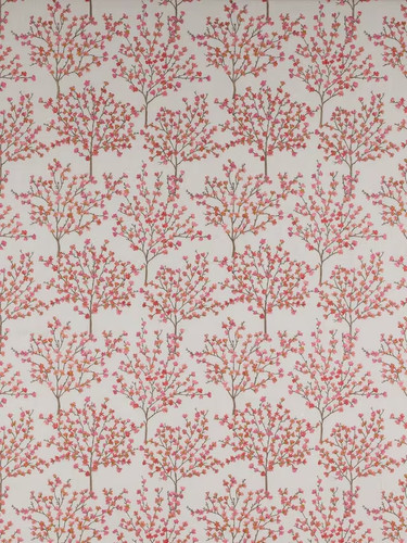 Jane churchill blossom - blossom, tree
