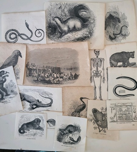 Job lot antique natural - job,