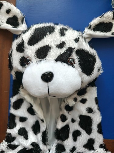 Panda bear mascot and white - panda,
