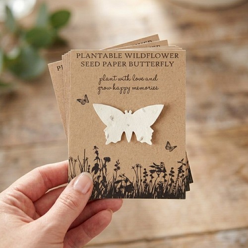Angel dove pack - angel,