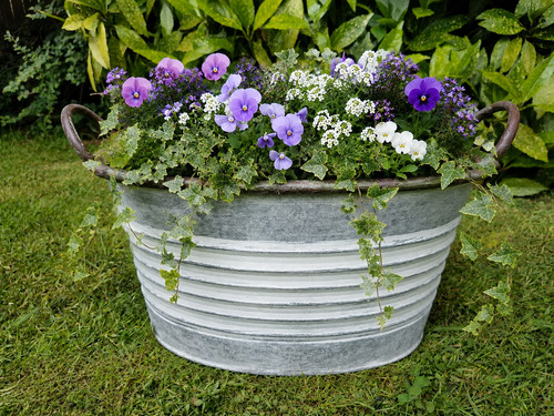 Old vintage french style - french,