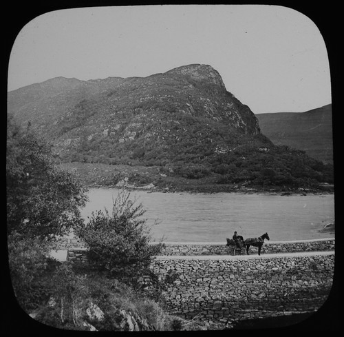 Jaunting car c1890 antique - a,