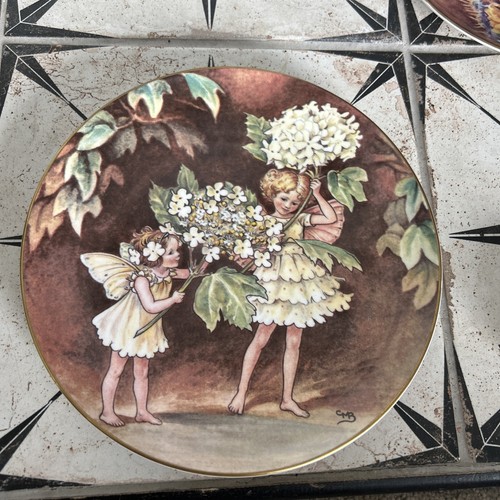Border fine bone china - china,