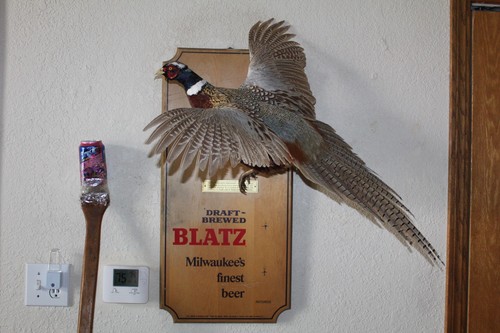 Blatz beer advertising sign - blatz,
