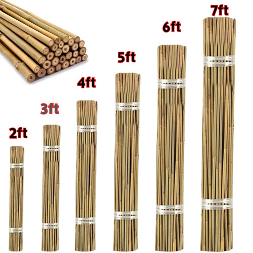 Natural bamboo canes garden - bamboo,