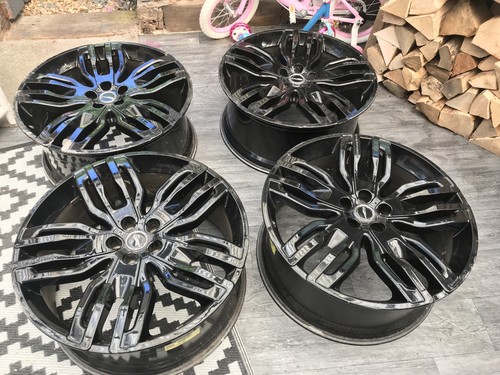 Genuine overfinch gloss - overfinch, 23”