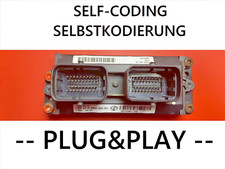 Plug and Play / VIRGIN ECU