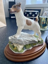 Jack Russell Terrier Best Of