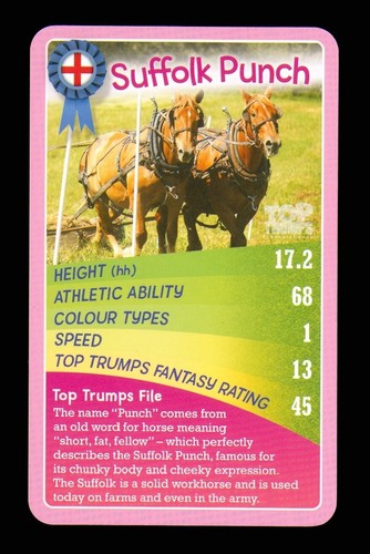 Card suffolk punch - of, –