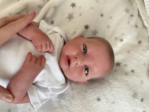 Berenguer reborn doll - reborn,