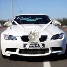 Wedding Car Decoration Kit 1