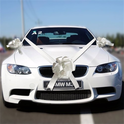 Wedding car decoration - kit, 1