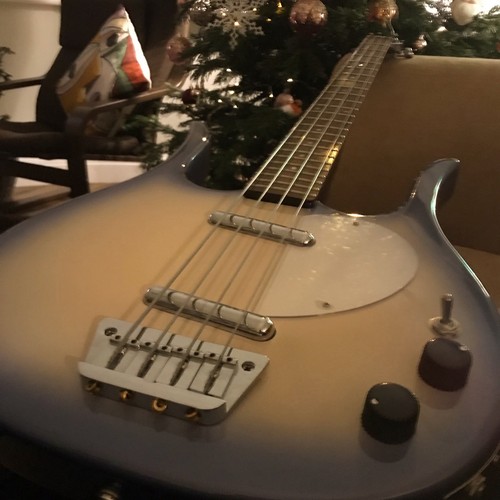 Danelectro longhorn bass - longhorn,