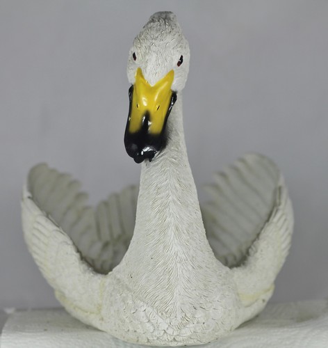 29cm swan platter nibble - platter,