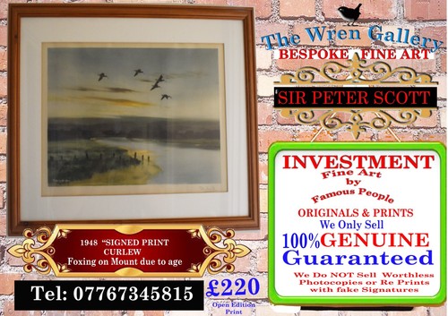 Sir peter scott original fine - peter,