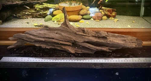 Large aquarium driftwood 52cm - large,