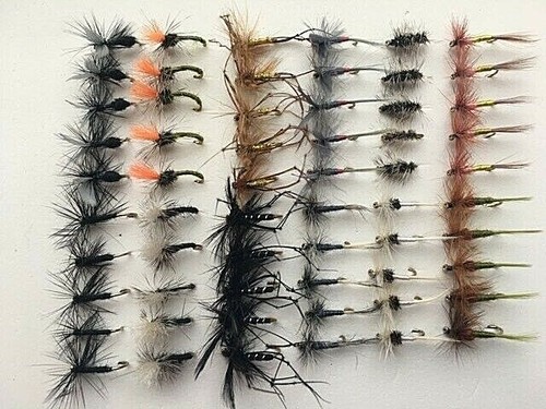 Season trout fishing flies 60 - fishing,