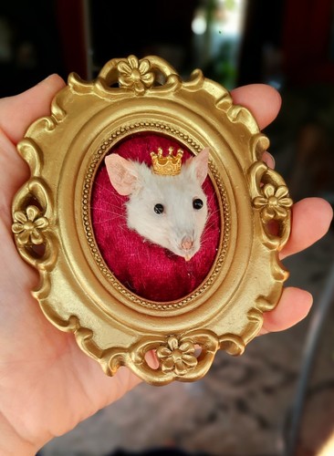 Taxidermy mouse head - taxidermy, king