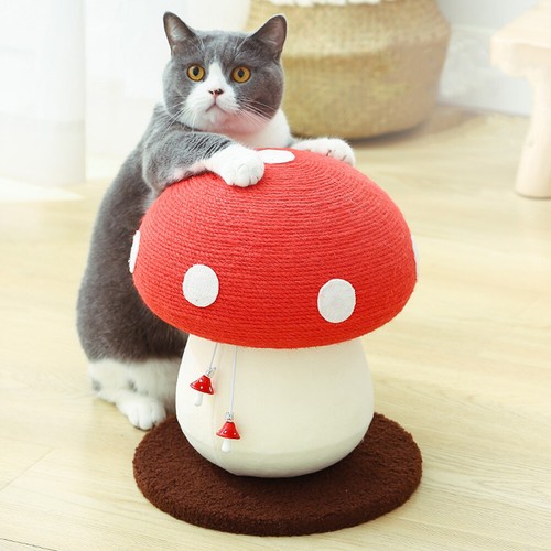 Cat tree scratching - tree, pet