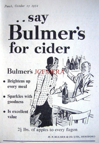 Bulmers woodpecker dry - woodpecker, &