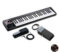 Roland/A-49 BK [Damper Pedal