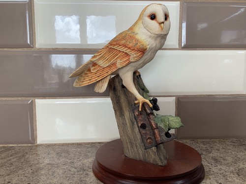 Border fine arts - border, owl