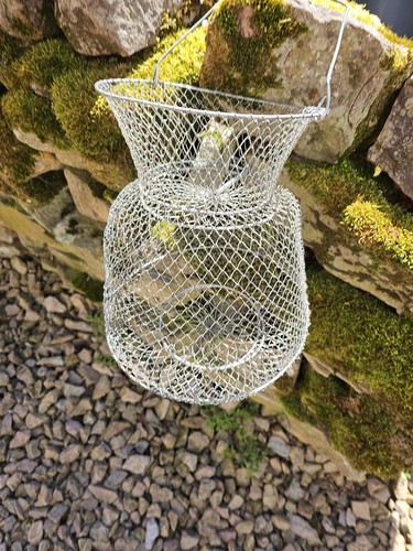 Vintage wire fishing cage - cage, trap