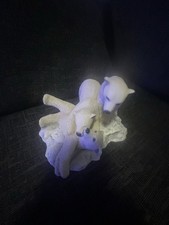 Polar Bears On Ice By Sherratt Simpson 55389 