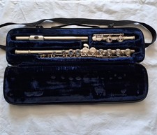 Trevor James TJ10 x ii concert