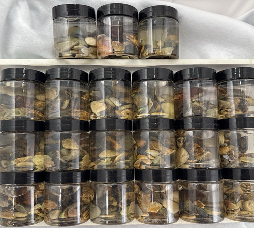 200 mixed lot australian - lot,