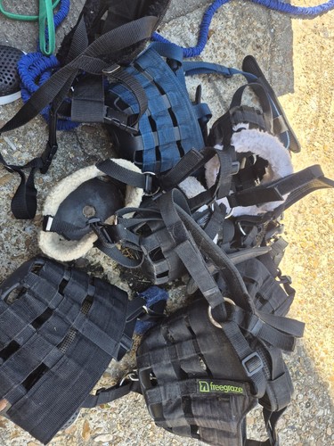 Job lot grazzing - muzzles, horse