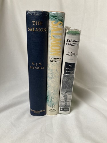 Salmon fishing m - fishing,