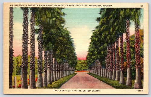 Florida augustine - florida, st.