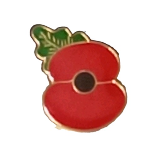 Undated poppy remembrance - poppy¹,