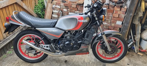 1981 yamaha rd350lc - 1981,