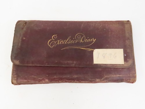 Excelsior diary 1896 - excelsior, wilson