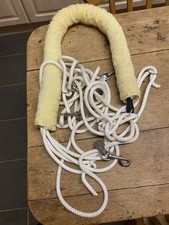 Genuine Pessoa Lunging