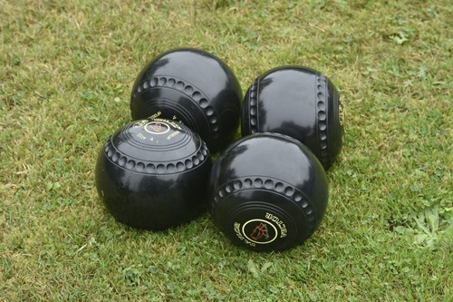 Taylor vector bowls size - vector,