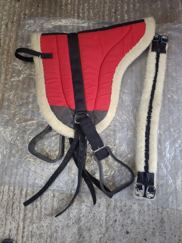 Northern equestrian bareback - northern,