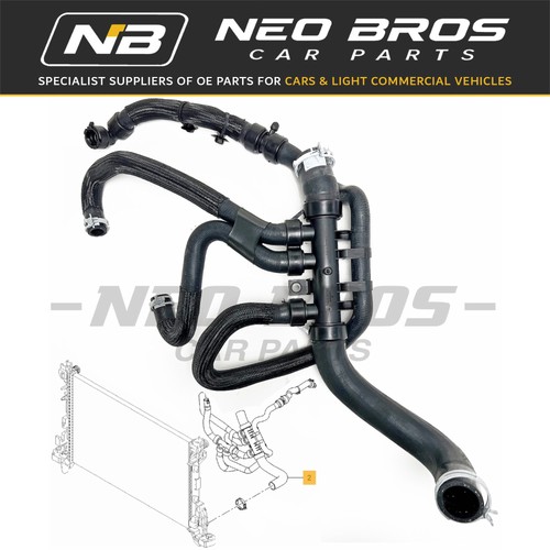 Radiator outlet hose - radiator,